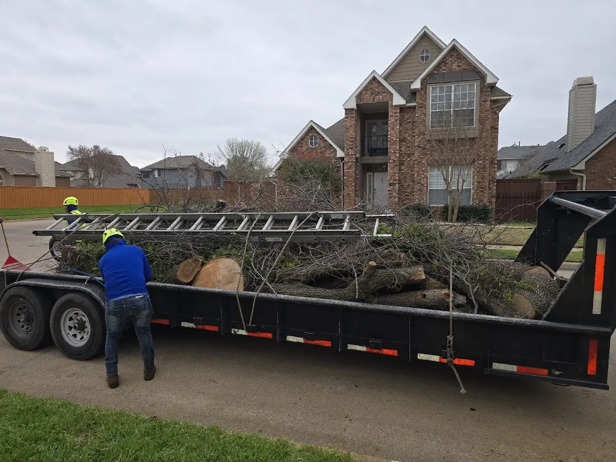 Expert Tree Pest Control with proper safety equipment in Van Meter